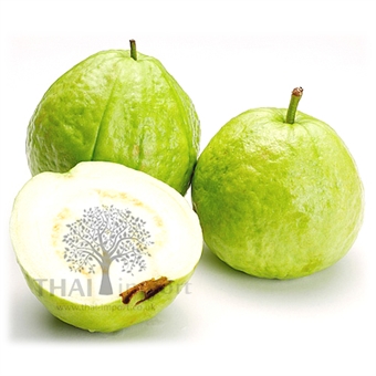 Picture of Guava