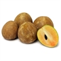 Picture of Sapodilla