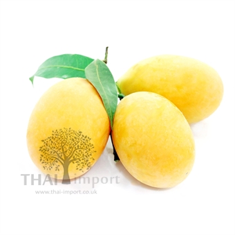 Picture of Mango Plum 