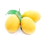 Picture of Mango Plum 