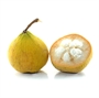 Picture of Santol Sweet 