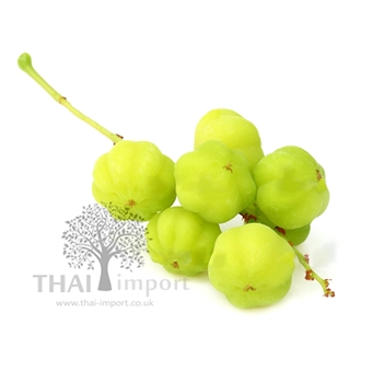 Picture of Star Gooseberry