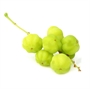 Picture of Star Gooseberry