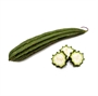 Picture of Luffa (Angled)