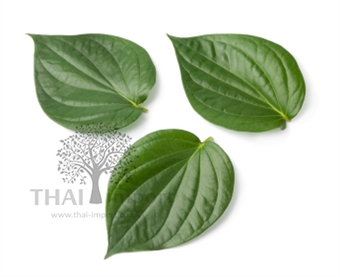 Picture of Cha Plu Leaf