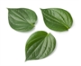 Picture of Cha Plu Leaf
