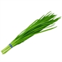 Picture of Chive Leaf