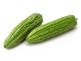 Picture of Bitter Melon