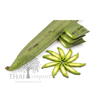 Picture of Indian Trumpet