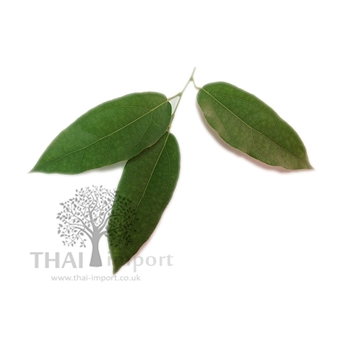 Picture of Ya Nang Leaf
