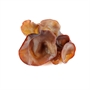 Picture of Jelly Mushroom