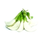 Picture of White Agasta Flower