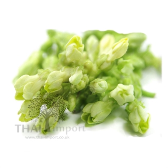 Picture of Cowslip Creeper Flower