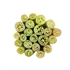 Picture of Lotus Stem