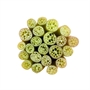 Picture of Lotus Stem