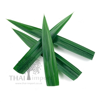 Picture of Pandan Leaf
