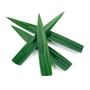Picture of Pandan Leaf