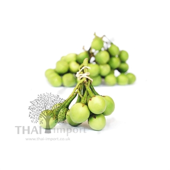 Picture of Pea Eggplant