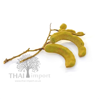 Picture of Young Tamarind