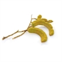 Picture of Young Tamarind