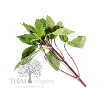 Picture of Sweet Basil