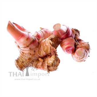 Picture of Galangal