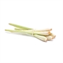 Picture of Lemongrass