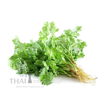 Picture of Coriander with Roots