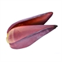 Picture of Banana Flower