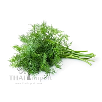 Picture of Thai Dill