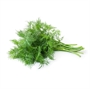 Picture of Thai Dill