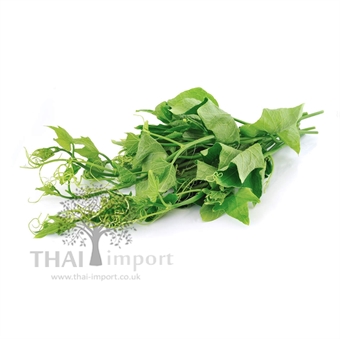 Picture of Chayote Shoot