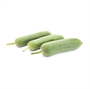 Picture of Luffa (Round)