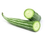 Picture of Luffa (Snake)