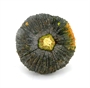 Picture of Thai Pumpkin (Old)