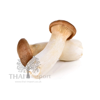 Picture of King Oyster Mushroom