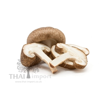 Picture of Shitake Mushroom