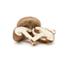 Picture of Shitake Mushroom