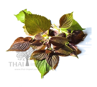 Picture of Perilla Leaf