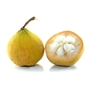 Picture of Santol Sour