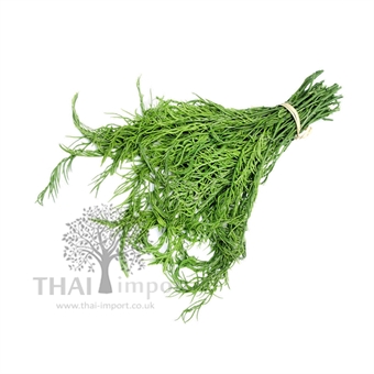 Picture of Cha-Om (3KG+ )