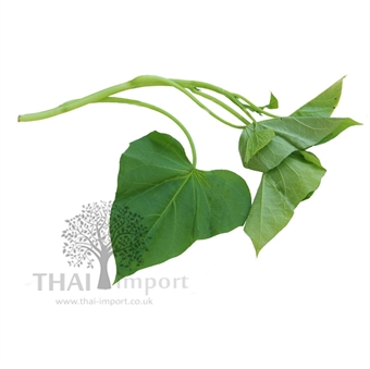 Picture of Sweet Potato Leaf