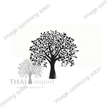 Picture of Malabar Spinach / Mồng Tơi 