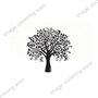 Picture of White Shimeji Mushroom