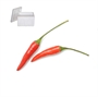 Picture of Red Chilli (3KG+)
