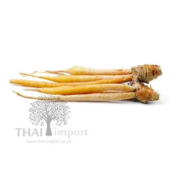 Picture of Kaempfer (3KG+)