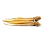 Picture of Kaempfer (3KG+)