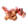 Picture of Galangal (3KG+)
