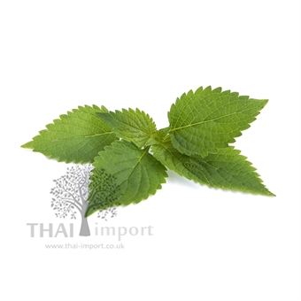 Picture of Cockscombe Mint