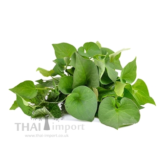 Picture of Fish Mint